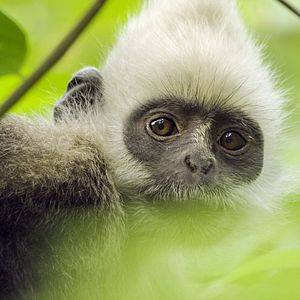 Bilder Unsere Erde 2