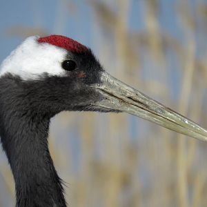 Bilder Unsere Erde 2