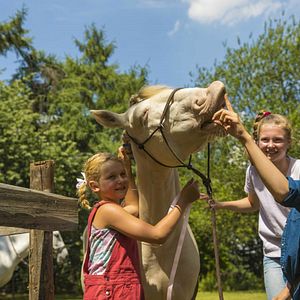 Bilder Lea Eileen Stönner