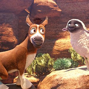 Bilder Bo und der Weihnachtsstern