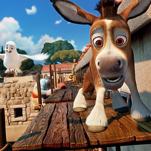 Bilder Bo und der Weihnachtsstern