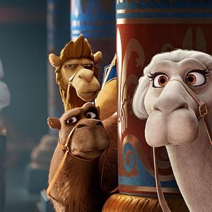 Bilder Bo und der Weihnachtsstern