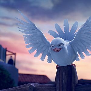 Bilder Bo und der Weihnachtsstern