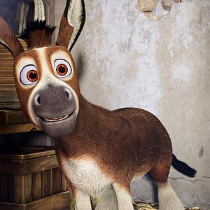 Bilder Bo und der Weihnachtsstern