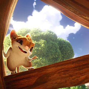 Bilder Bo und der Weihnachtsstern