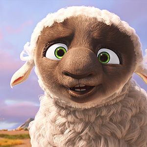 Bilder Bo und der Weihnachtsstern