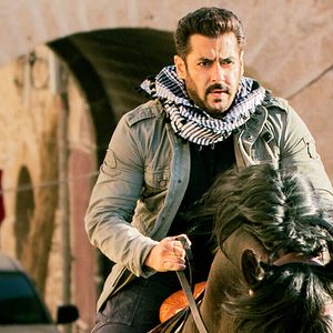Bilder Tiger Zinda Hai