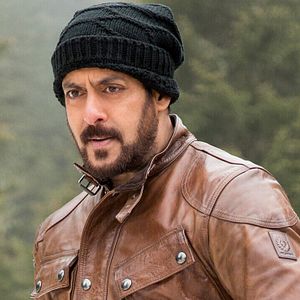 Bilder Tiger Zinda Hai