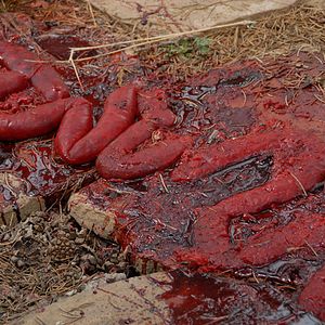 Bilder Banshee Chapter