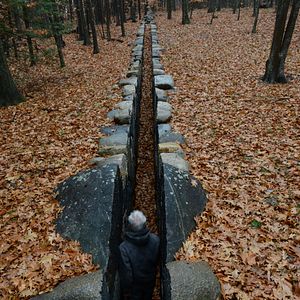 Bilder Leaning Into The Wind - Andy Goldsworthy