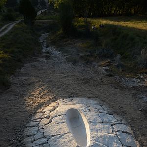 Bilder Leaning Into The Wind - Andy Goldsworthy