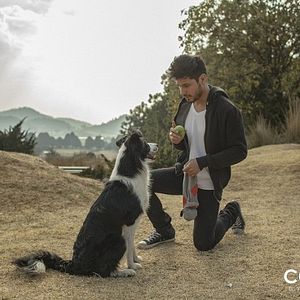 Bilder Cometa: Él, su perro y su Mundo