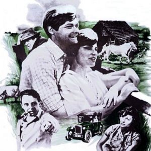 Bilder James Herriot, Tierarzt