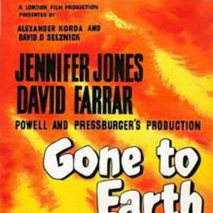 Bilder Die schwarze Füchsin