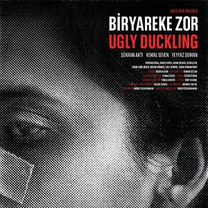 Bilder Ugly Duckling