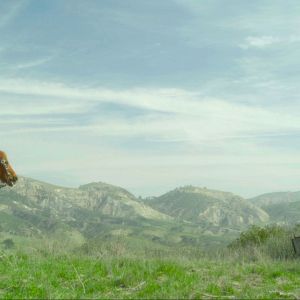 Bilder Don Quijote von der Mancha