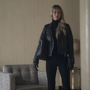 Bilder Red Sparrow