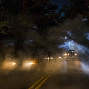 Bilder The Walking Dead