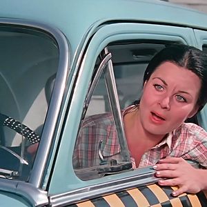 Bilder Şoför Nebahat