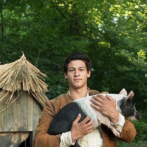 Bilder Der Schweinehirt