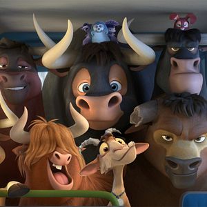 Bilder Ferdinand - Geht STIERisch ab!