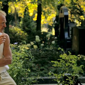 Bilder Garten der Sterne