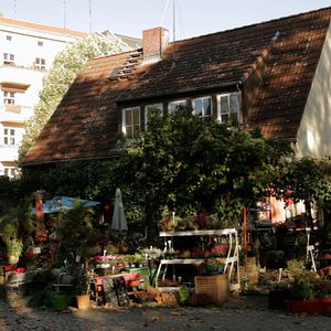 Bilder Garten der Sterne