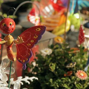 Bilder Garten der Sterne