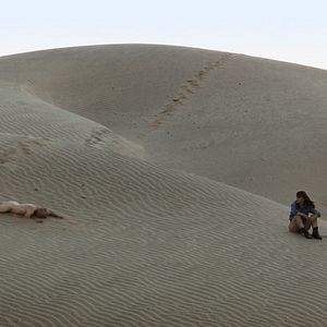 Bilder A Thought Of Ecstasy