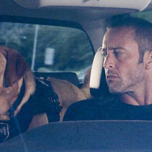 Bilder Hawaii Five-0