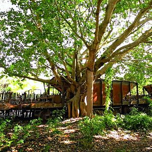 Bilder Demons in Paradise