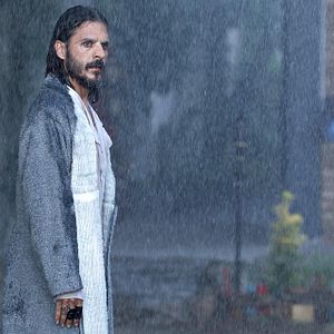 Bilder Martıların Efendisi