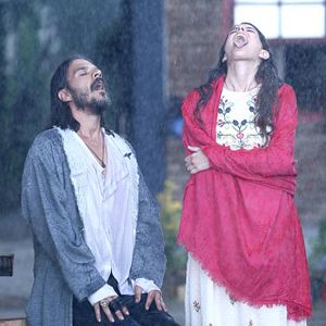 Bilder Martıların Efendisi