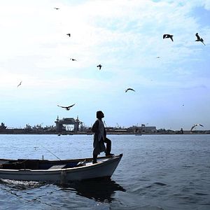 Bilder Martıların Efendisi