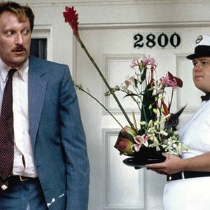 Bilder Jeffrey Jones