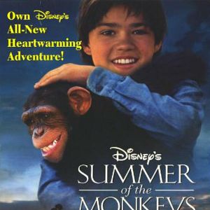 Bilder Jay und die Affenbande