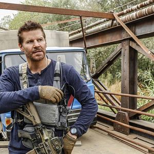Bilder David Boreanaz