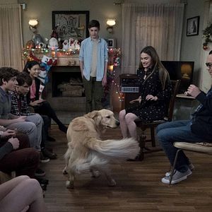 Bilder Zedrick Restauro