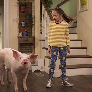 Bilder American Housewife (2016)