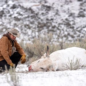 Bilder Jeremy Renner