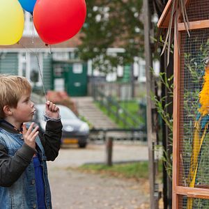 Bilder Liam de Vries