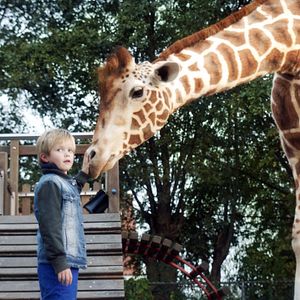 Bilder Liam de Vries