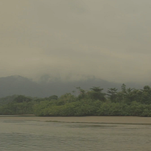 Bilder Madrigal para um Poeta Vivo