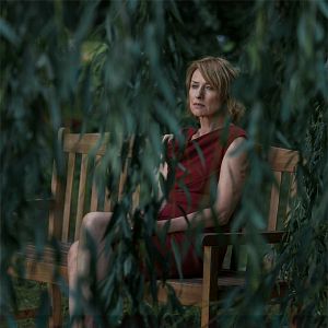 Bilder Die vermisste Frau