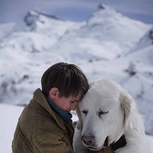 Bilder Belle & Sebastian - Freunde fürs Leben