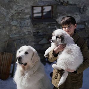 Bilder Belle & Sebastian - Freunde fürs Leben