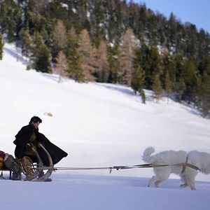 Bilder Belle & Sebastian - Freunde fürs Leben