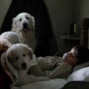 Bilder Belle & Sebastian - Freunde fürs Leben