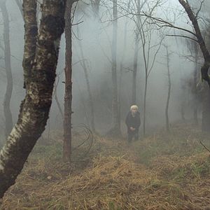 Bilder Valley Of Shadows