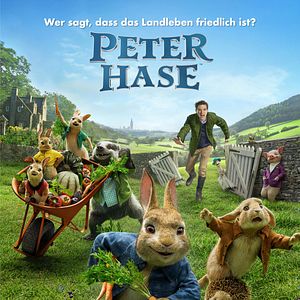 Bilder Peter Hase